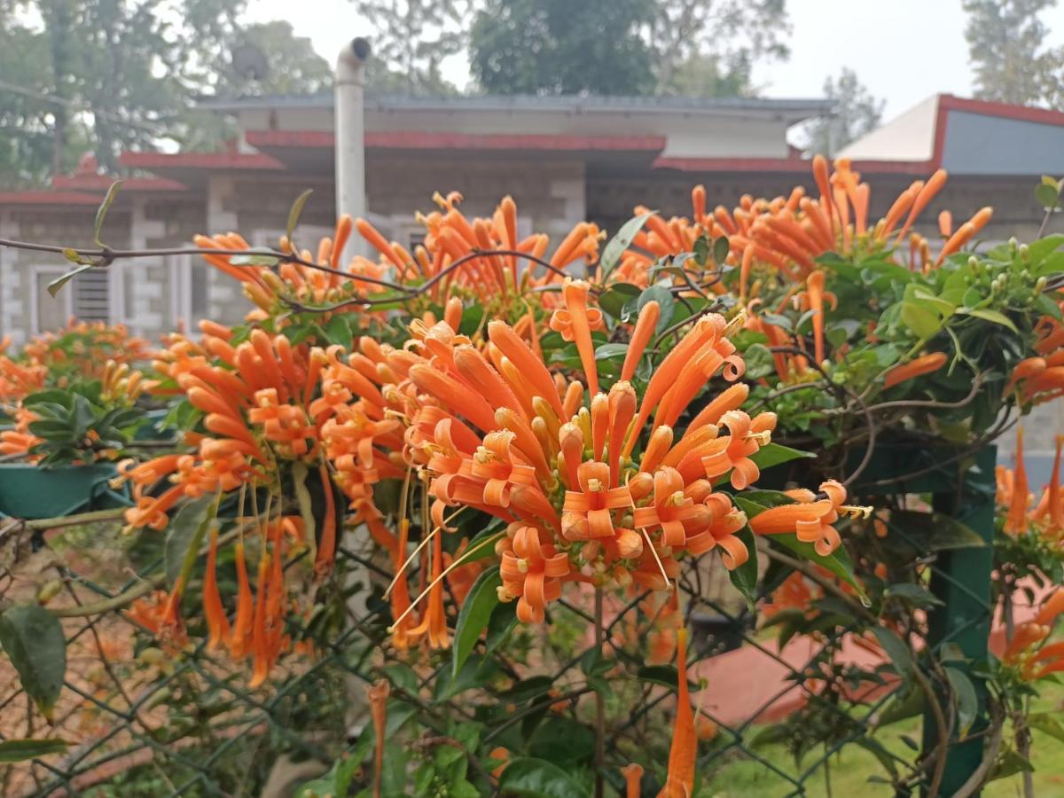 Coorg Kolamotte Hotel Gonikoppal Kültér fotó