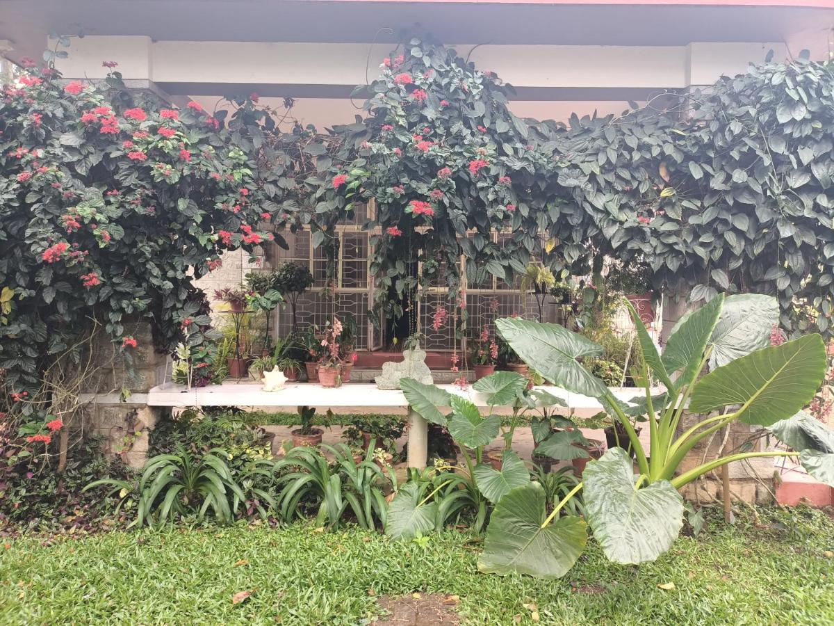 Coorg Kolamotte Hotel Gonikoppal Kültér fotó