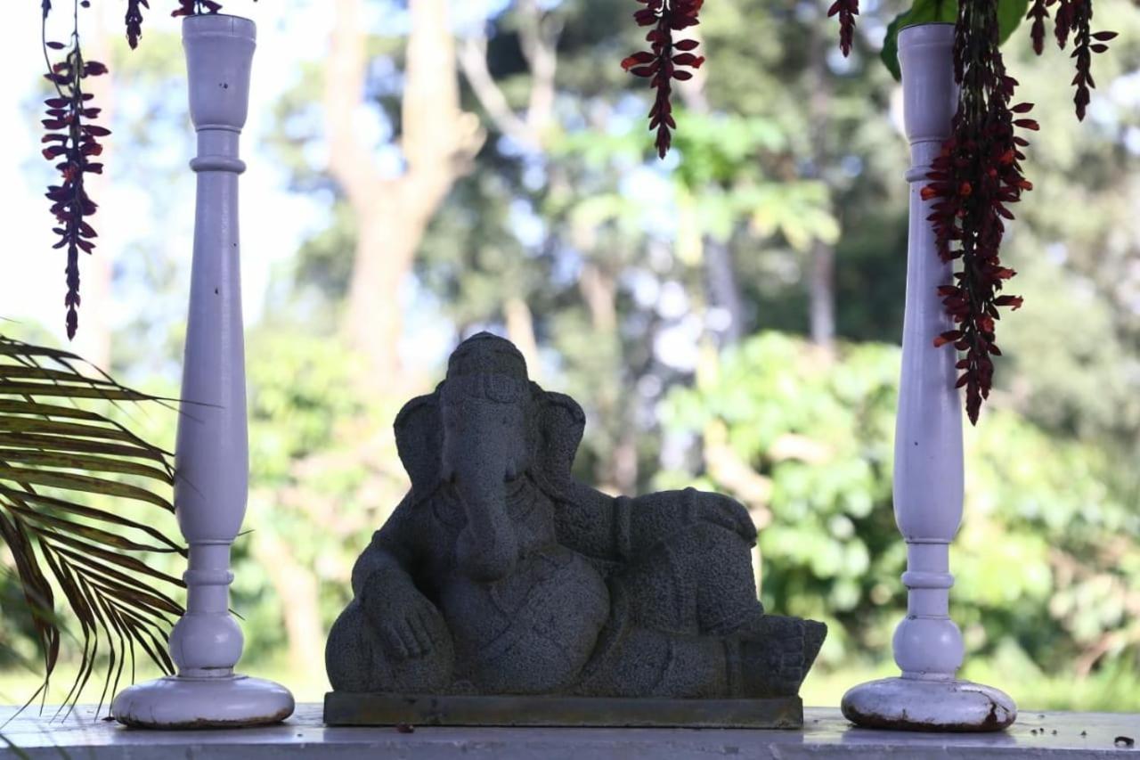 Coorg Kolamotte Hotel Gonikoppal Kültér fotó